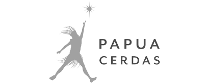 Papua Cerdas