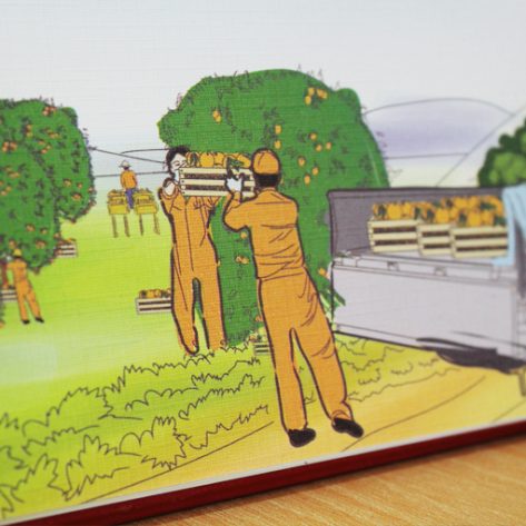 01_RLA_kalender 2013_5